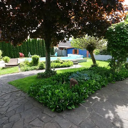 Haus Zwoelf Apartment Dahn Exterior photo